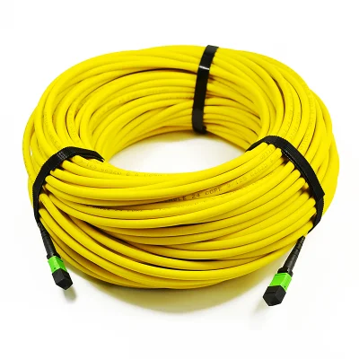 Câble de tronc optique de fibre de MPO/APC 24core 48core Sm Ofnp